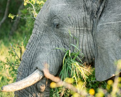 pexels-charldurand-6582116-scaled.jpg pexels-charldurand-6582116-scaled.jpg